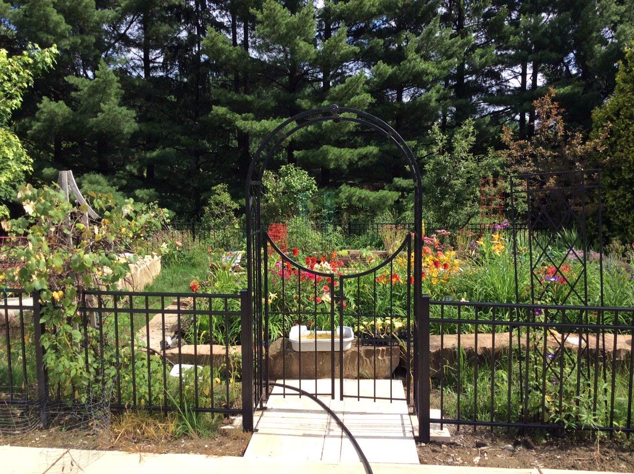 products arch top garden arch w gate 3 1