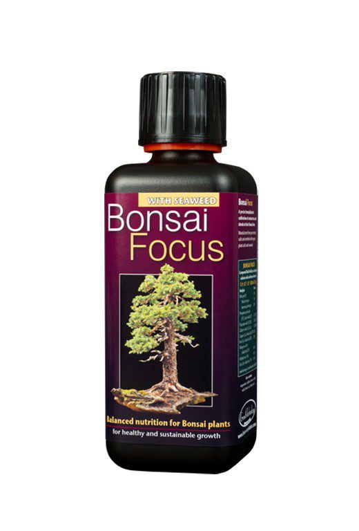 products bonsai focus
