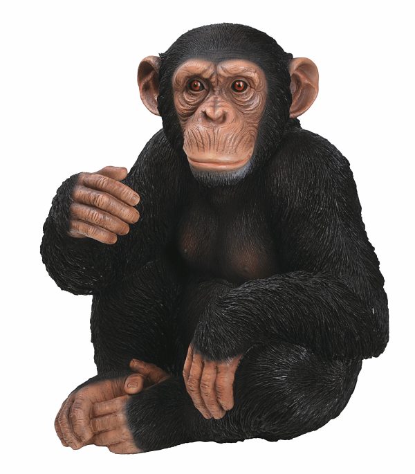 XRL CHM3 B XRL CHM3 C XRL CHM3 D Sitting Chimpanzee B1H53 D1H28 scaled