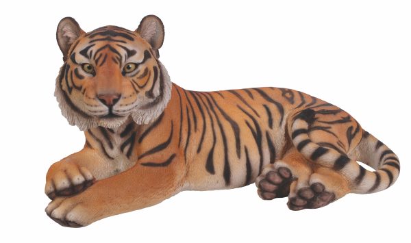 XRL TIGR B Tiger B1 L71cm scaled