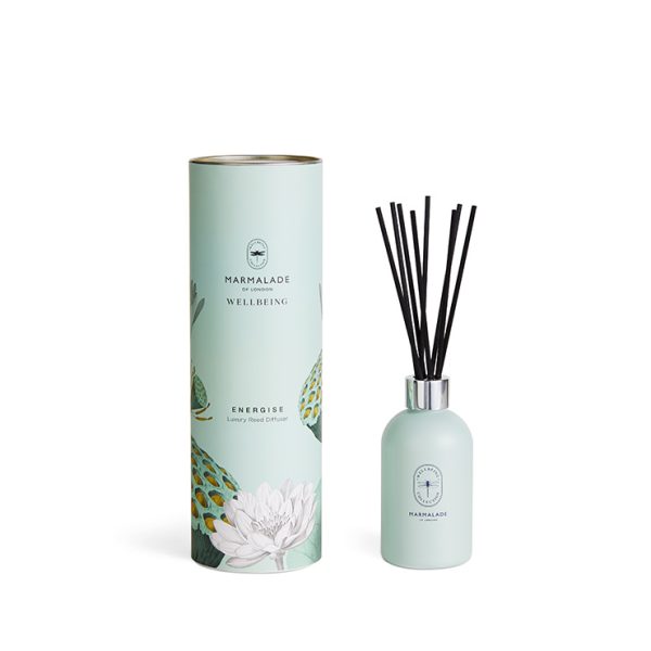 WELLBEING DIFFUSER ENERGISE