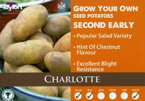 taylors second early seed potatoes charlotte 2kg seed potatoes 15633576099895 1