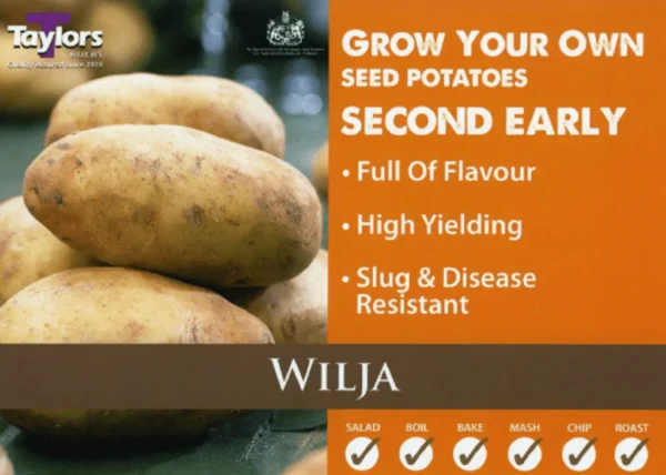 taylors second early seed potatoes wilja 2kg seed potatoes 15633570005047